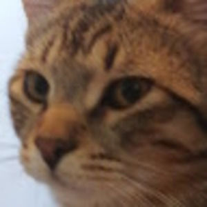 Meet your Posher, Mackenzie